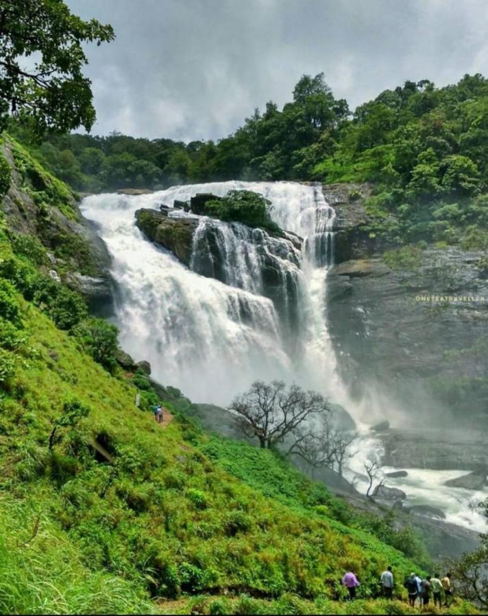 Coorg Coffee Park Farmstay Somvārpet Eksteriør bilde