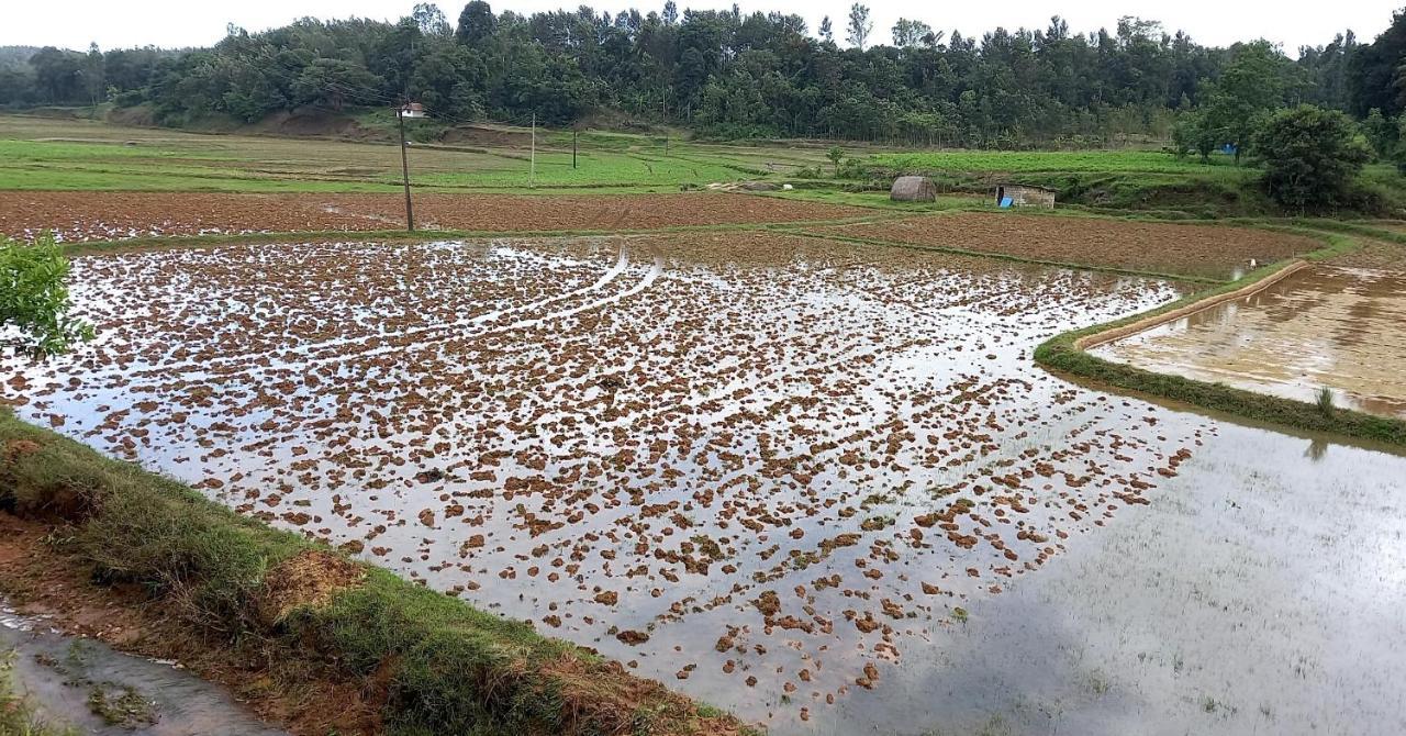 Coorg Coffee Park Farmstay Somvārpet Eksteriør bilde