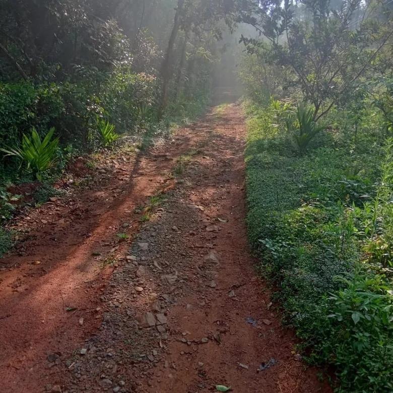 Coorg Coffee Park Farmstay Somvārpet Eksteriør bilde