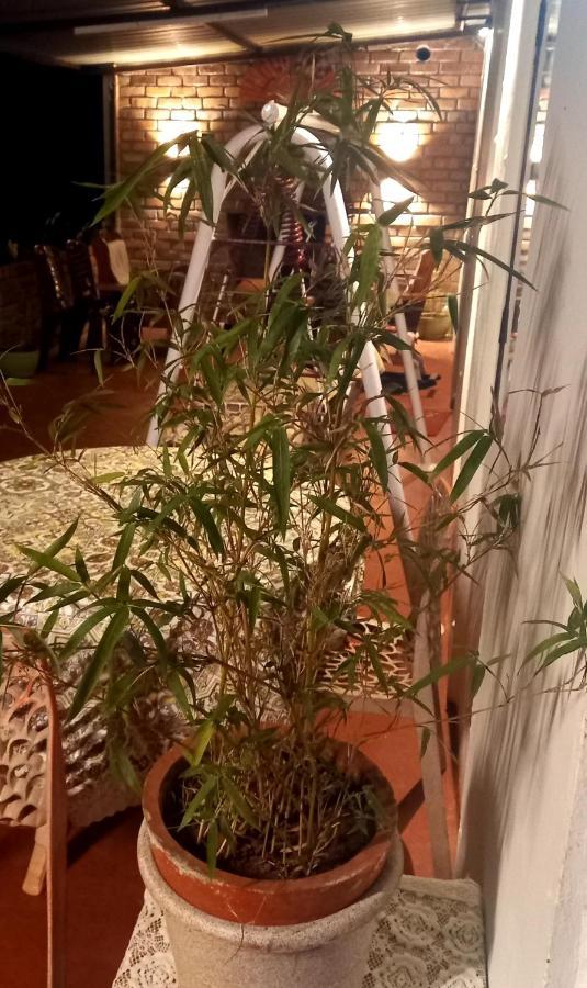 Coorg Coffee Park Farmstay Somvārpet Eksteriør bilde