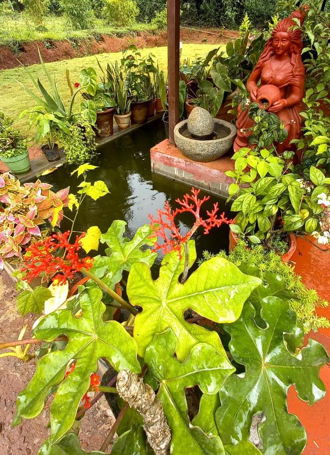 Coorg Coffee Park Farmstay Somvārpet Eksteriør bilde
