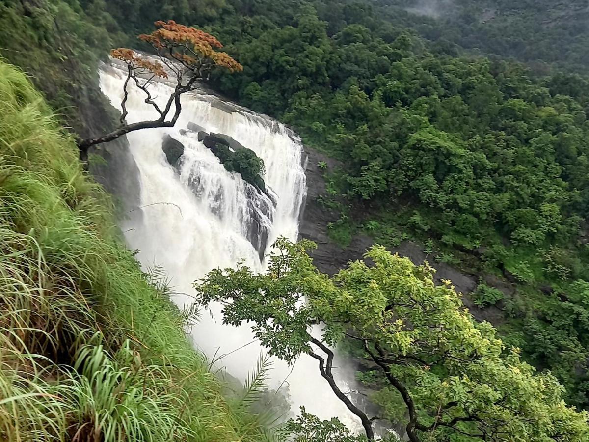 Coorg Coffee Park Farmstay Somvārpet Eksteriør bilde