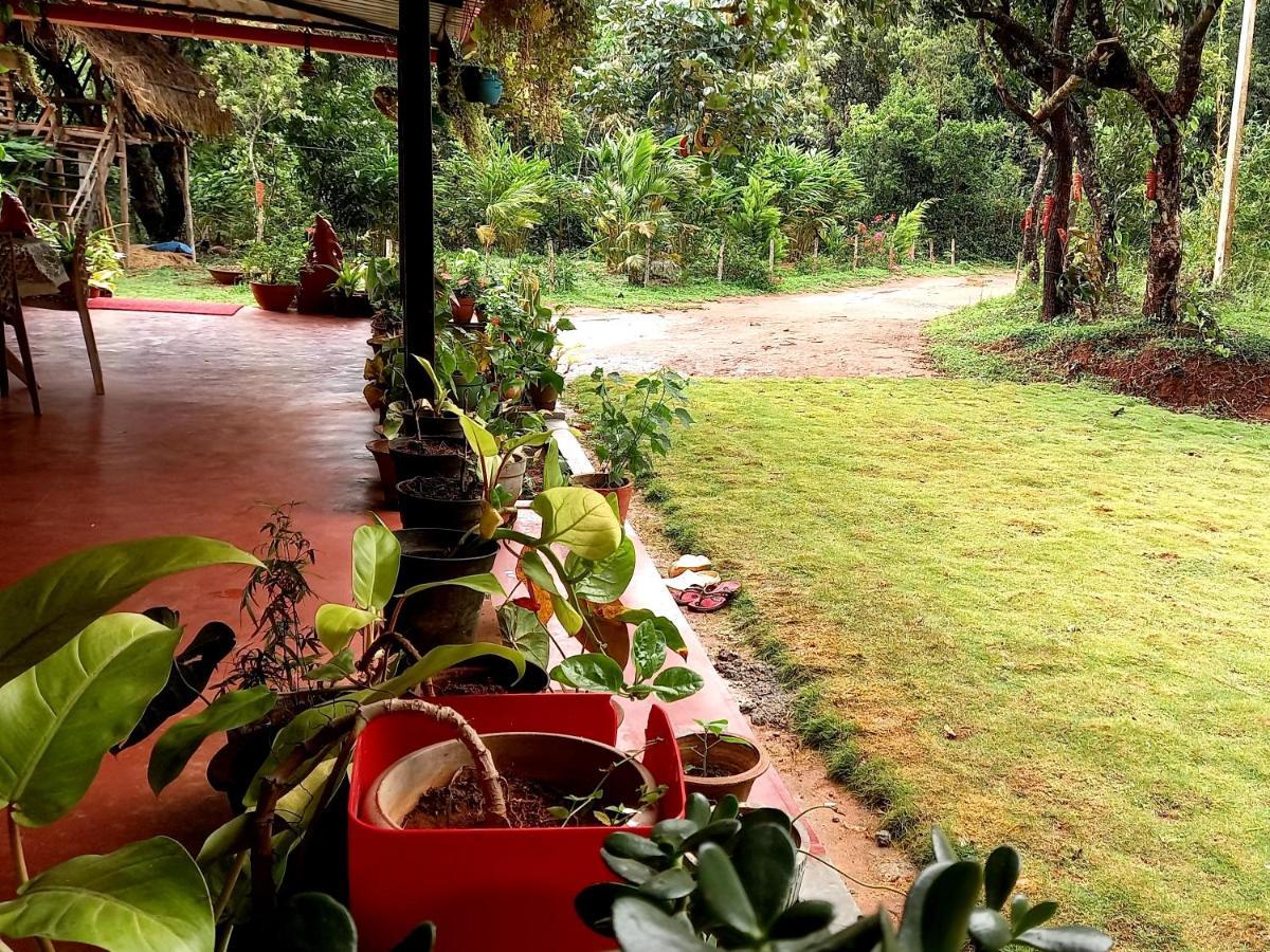 Coorg Coffee Park Farmstay Somvārpet Eksteriør bilde