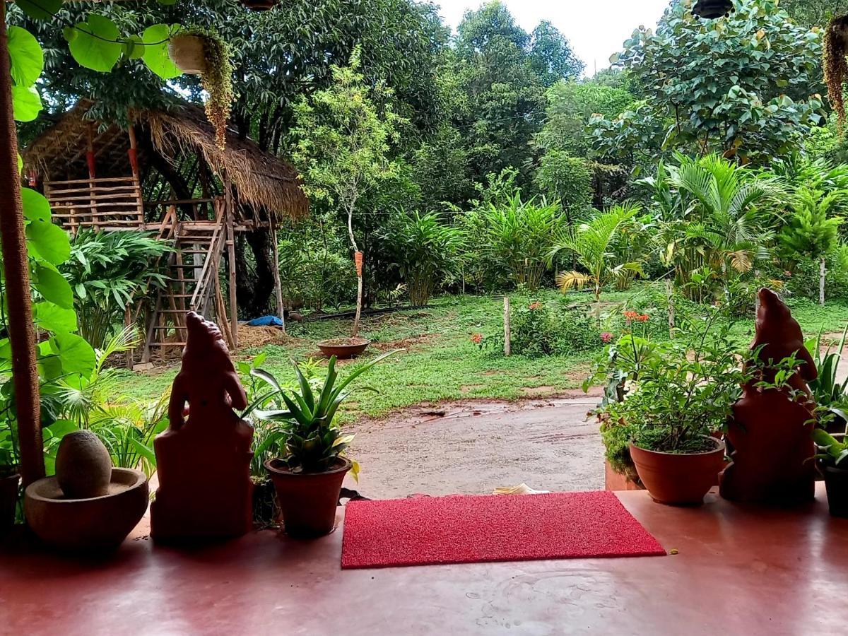 Coorg Coffee Park Farmstay Somvārpet Eksteriør bilde
