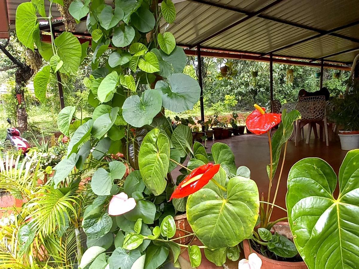 Coorg Coffee Park Farmstay Somvārpet Eksteriør bilde
