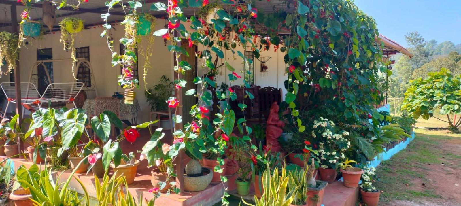 Coorg Coffee Park Farmstay Somvārpet Eksteriør bilde