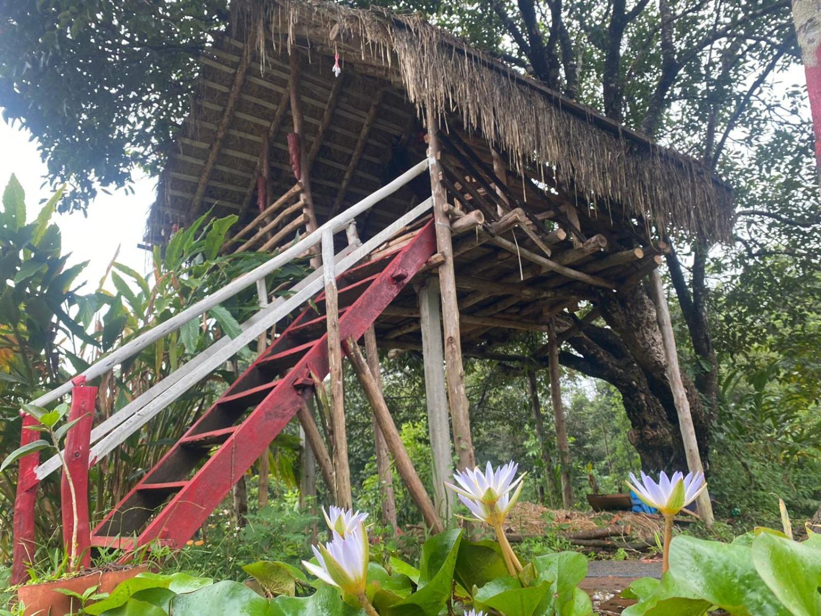 Coorg Coffee Park Farmstay Somvārpet Eksteriør bilde