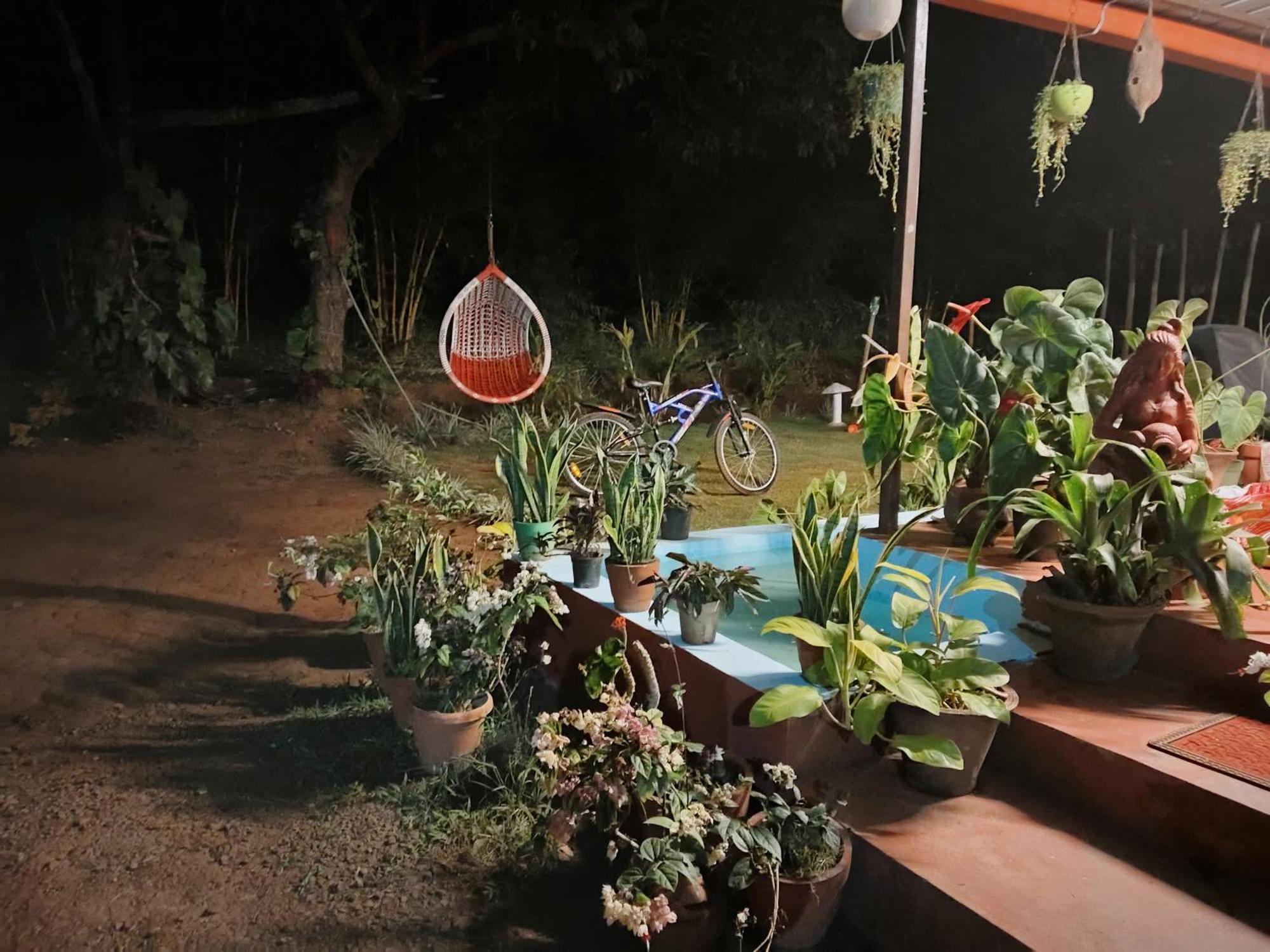 Coorg Coffee Park Farmstay Somvārpet Eksteriør bilde